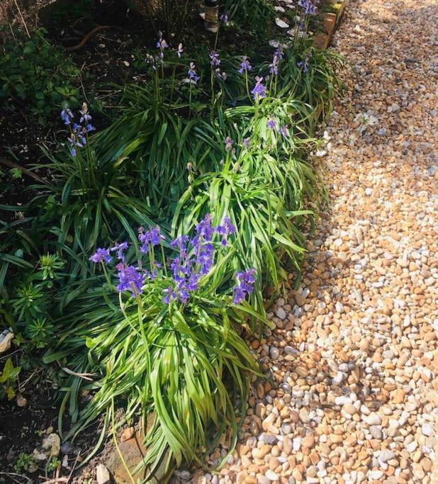 Seaside Flat In The Heart Of Herne Bay Exterior foto